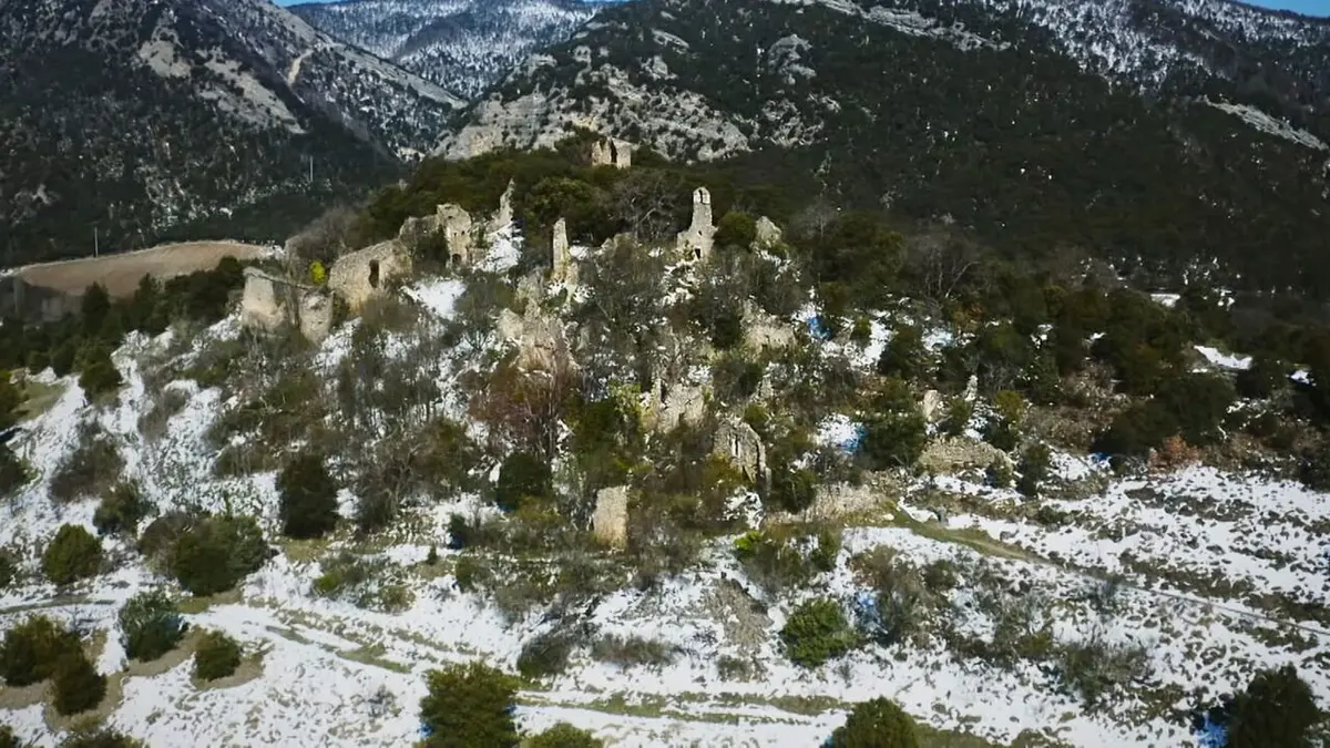 Nos chères bestioles Le florilège