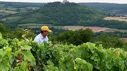 Visuel de Nos chers paradis