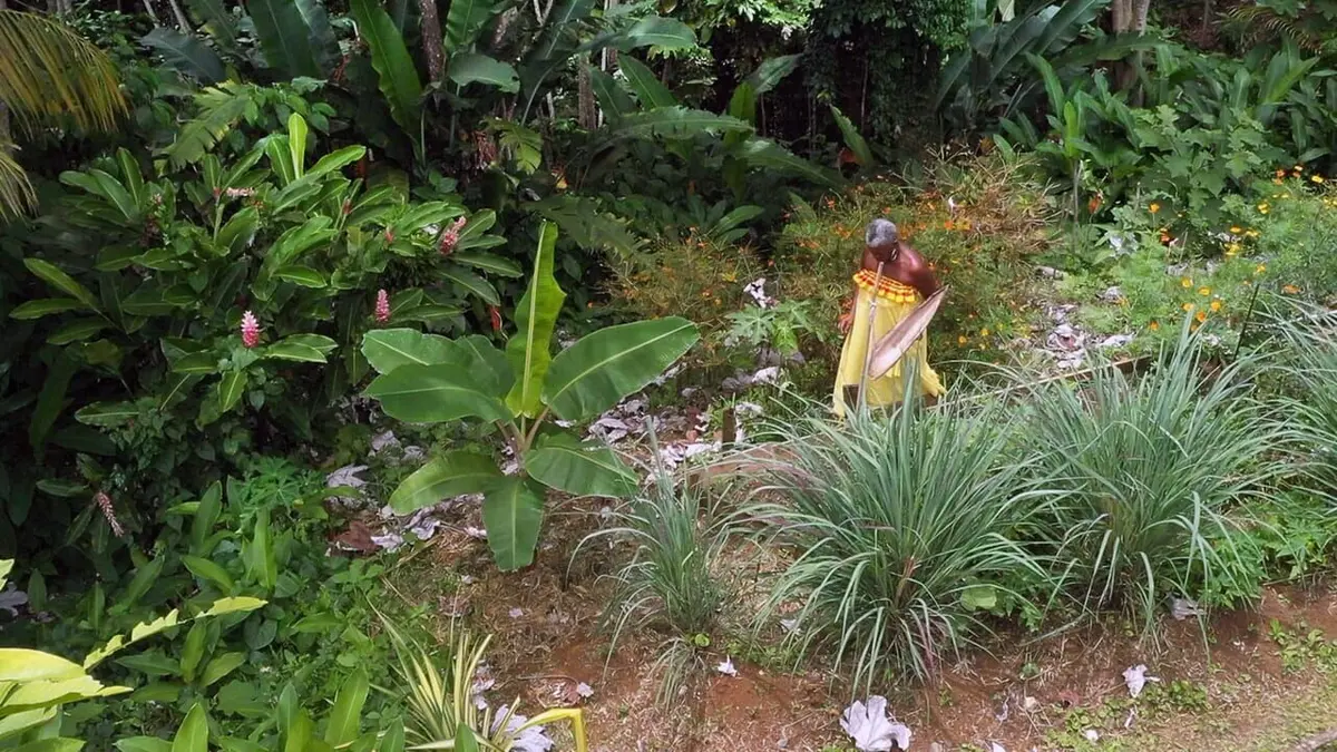 Nos continents L'Amérique du Sud