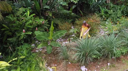 Nos continents L'Amérique du Sud