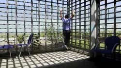 Nos jeunesses perdues