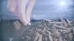 Nos mains dans la terre, l'aventure des enfants et des arbres Notre engagement pour le climat