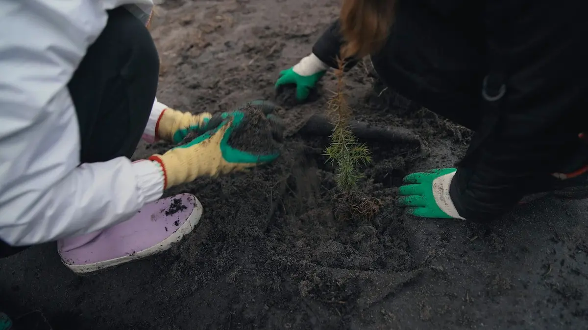Nos mains dans la terre, l'aventure des enfants et des arbres Inspirons-nous de la nature
