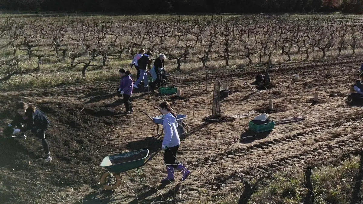 Nos mains dans la terre, l'aventure des enfants et des arbres Notre engagement pour le climat