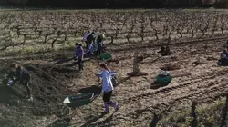 Nos mains dans la terre, l'aventure des enfants et des arbres Notre engagement pour le climat
