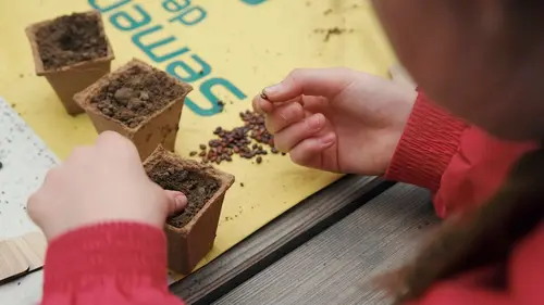 Nos mains dans la terre, l'aventure des enfants et des arbres Ensemble, changeons de cap