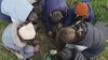 Nos mains dans la terre, l'aventure des enfants et des arbres