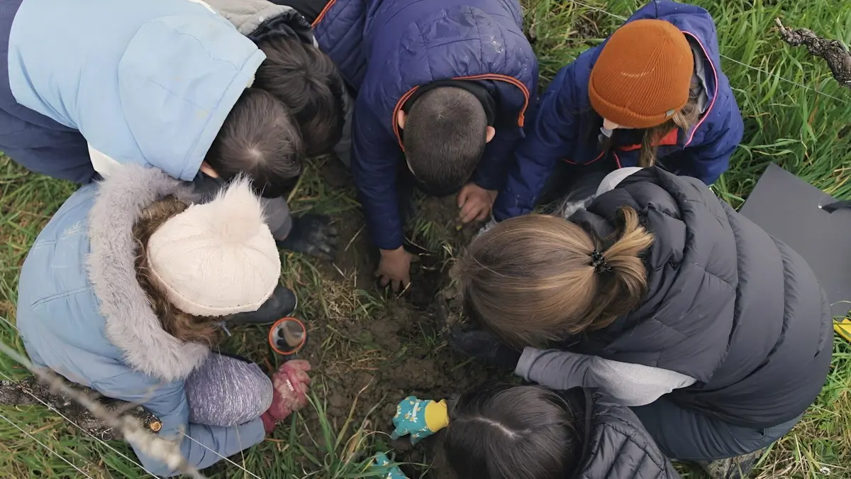 Nos mains dans la terre, l'aventure des enfants et des arbres Faisons revenir les oiseaux !