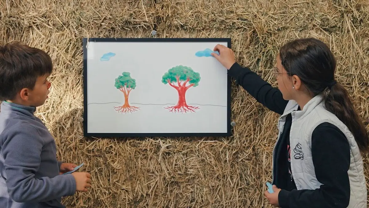 Nos mains dans la terre, l'aventure des enfants et des arbres Et si on cultivait la pluie ?