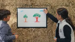 Visuel de Nos mains dans la terre, l'aventure des enfants et des arbres
