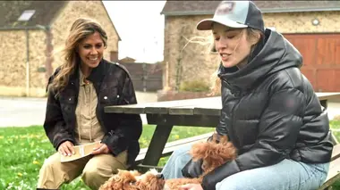 Nos meilleurs amis les animaux