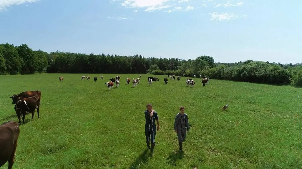 Nos prairies valent de l'or