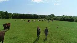 Nos prairies valent de l'or
