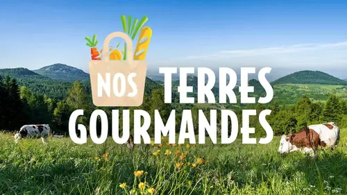 Nos terres gourmandes Le Sancy