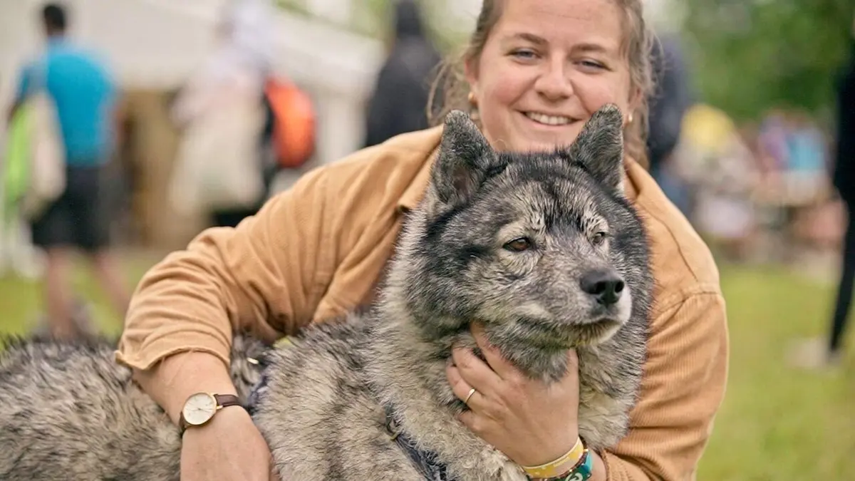 Nos très chers animaux