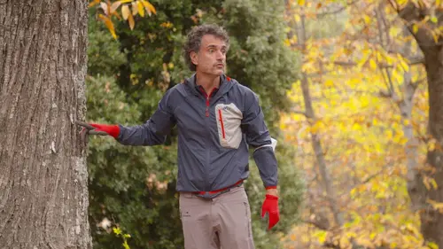 Épisodes de Nos vies d'ici