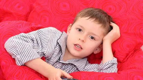 Nos voisins les pirates La grande censure