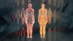 Notre corps, ce réseau social