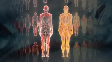Notre corps, ce réseau social