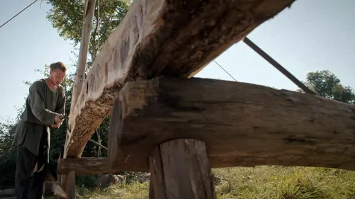 Notre-Dame de Paris, le chantier du siècle L'harmonie des forces