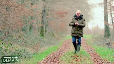 Notre forêt demain