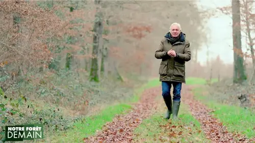 Notre forêt demain