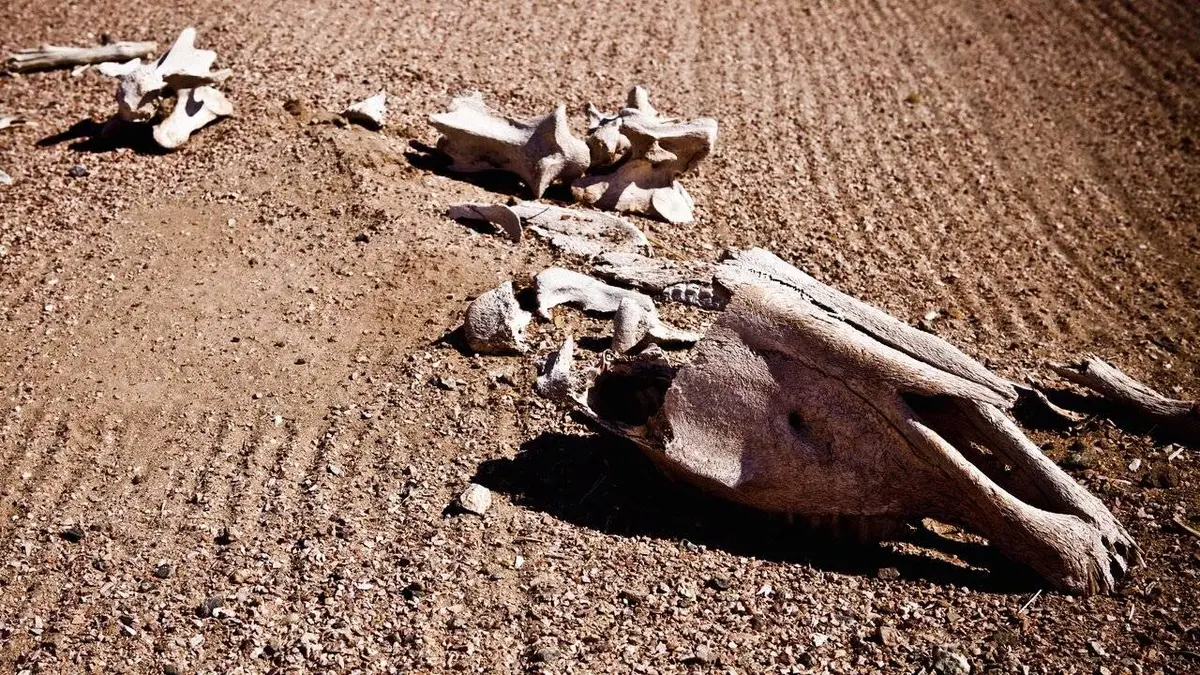 Notre planète : est-il déjà trop tard ?