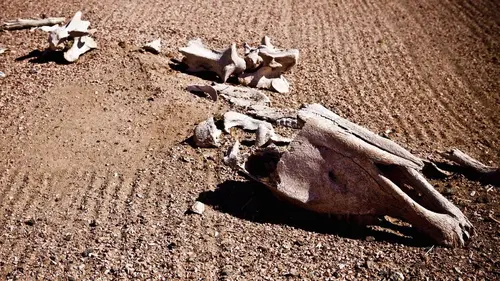 Notre planète : est-il déjà trop tard ?