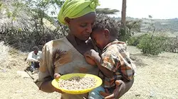 Visuel de Nourrir à tous prix