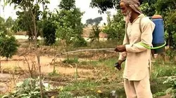 Visuel de Nourrir l'humanité, une course contre la montre