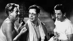 Nous avons gagné ce soir