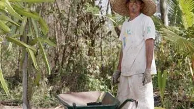 Martinique, la reconquête de la terre