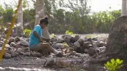 Visuel de Nous, gens de la terre
