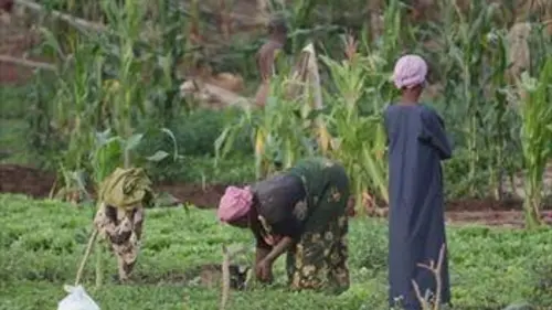 Nous, gens de la terre : Mayotte Mayotte, les combattantes