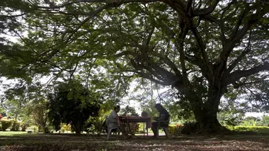 Wallis et Futuna, petit pays je t'aime beaucoup