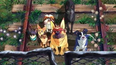 Nous, les chiens