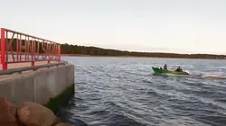 Nous, les Européens  L'Estonie : championne du numérique