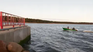 L'Estonie : championne du numérique