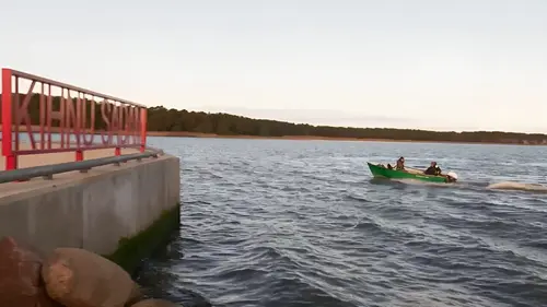 Nous, les Européens L'Estonie : championne du numérique