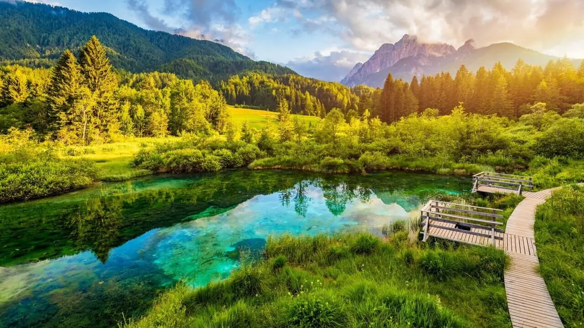 Nous, les Européens Les champions de l'environnement