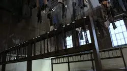 Nous, ouvriers Nos mains ont construit la France : 1945-1963