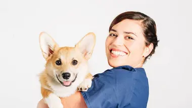 Le chien Loxias en danger de mort, loin de ses maîtres