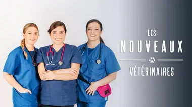 Nouveaux vétérinaires