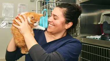 Nouveaux vétérinaires