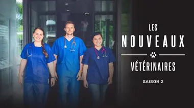 Nouveaux vétérinaires S02E01 La poule Claudette attaquée par une buse