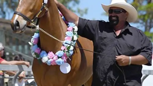 Nouvelle Calédonie : au rythme des chevaux