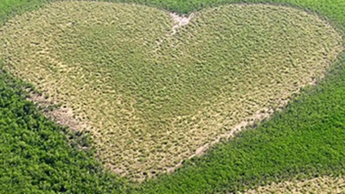 Nouvelle-Calédonie insolite