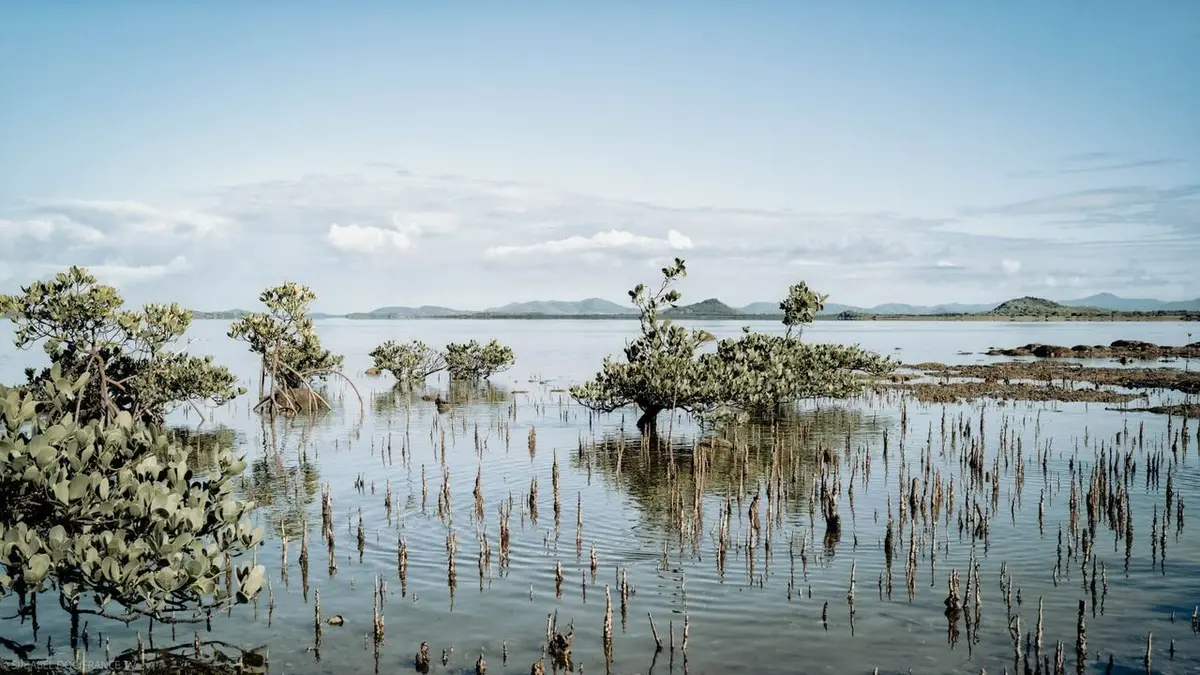 Nouvelle-Calédonie, terres d'avenir