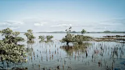 Nouvelle-Calédonie, terres d'avenir