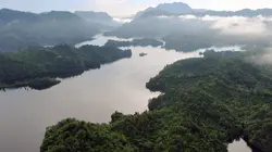 Nouvelle-Zélande : La forêt des géants